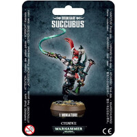Drukhari Succubus Warhammer 40K