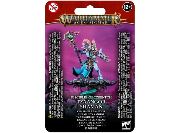 Disciples of Tzeentch Tzaangor Shaman Warhammer Age of Sigmar 
