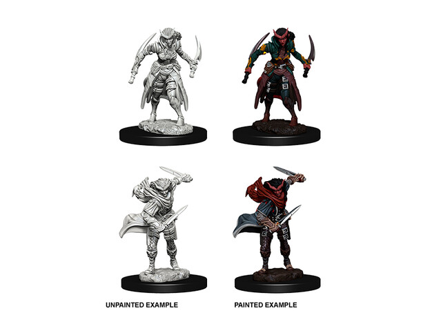 D&D Figur Nolzur Tiefling Rogue Female Nolzurs Marvelous Miniatures - Umalt 