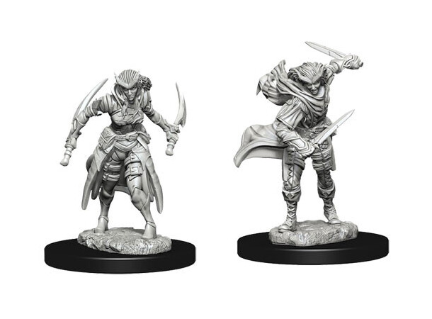 D&D Figur Nolzur Tiefling Rogue Female Nolzurs Marvelous Miniatures - Umalt 