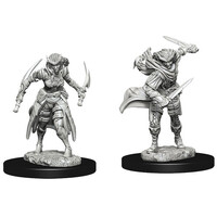 D&D Figur Nolzur Tiefling Rogue Female Nolzurs Marvelous Miniatures - Umalt