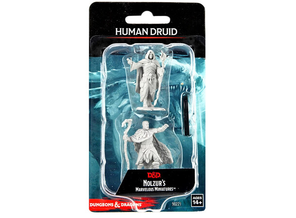 D&D Figur Nolzur Human Druid Male Nolzur's Marvelous Miniatures 