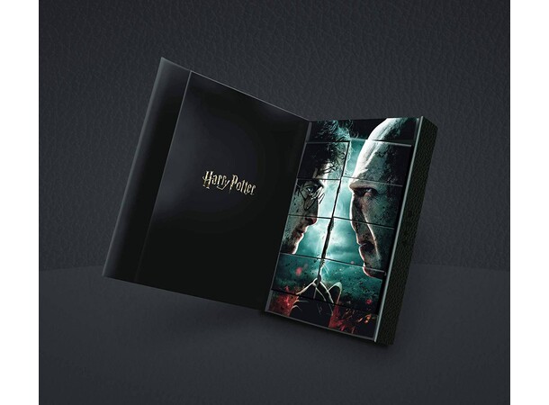 Harry Potter spillekort Limited Ed. 