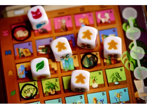 My Shelfie The Dice Game Terningspil 