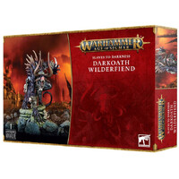Slaves to Darkness Darkoath Wilderfiend Warhammer Age of Sigmar