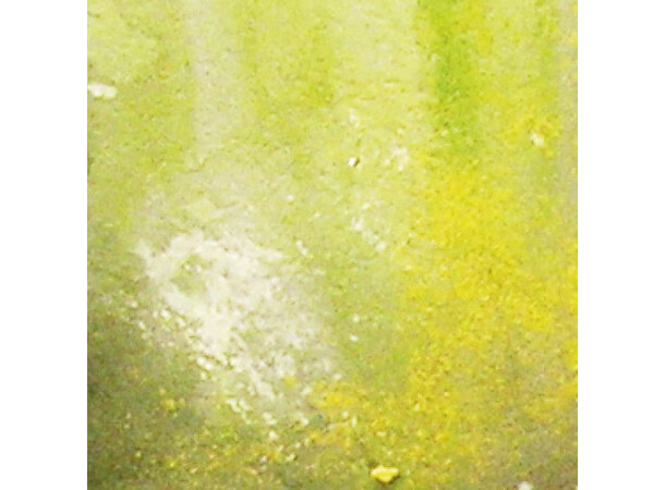 Vallejo Environment Slimy Grime Light Weathering Effects - Acrylic 