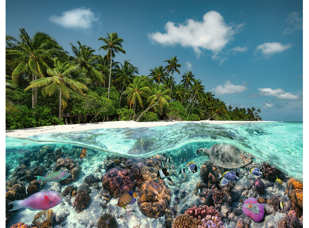 A Dive in the Maldives 2000 brikker Puslespil - Ravensburger Puzzle 