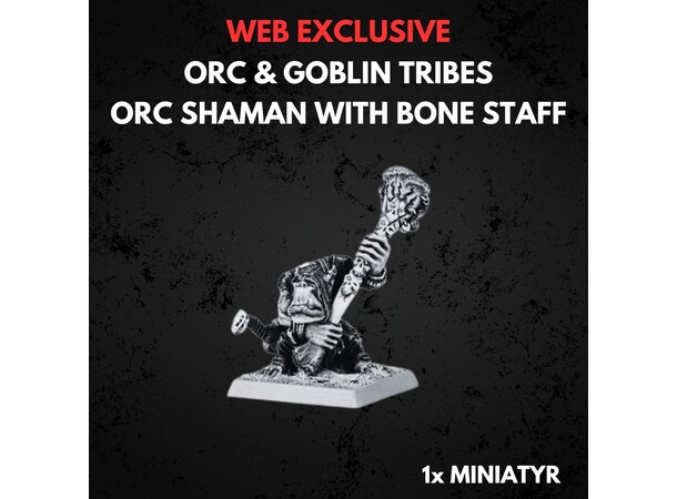 Orc & Goblin Tribes Ork Shaman Warhammer The Old World 