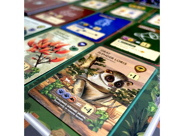 Biomes of Nilgiris Brætspil 