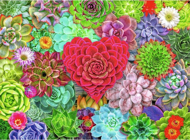 Succulent Love 500 brikker Puslespil Ravensburger puslespil 