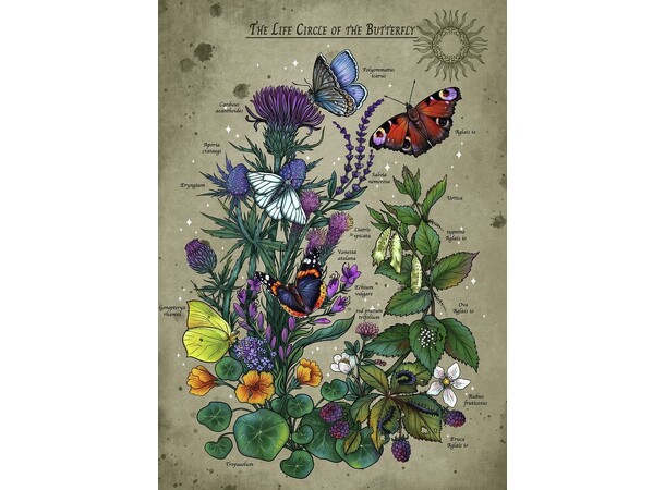 Lifecircle Butterfly 1000 brikker Ravensburger puslespil 