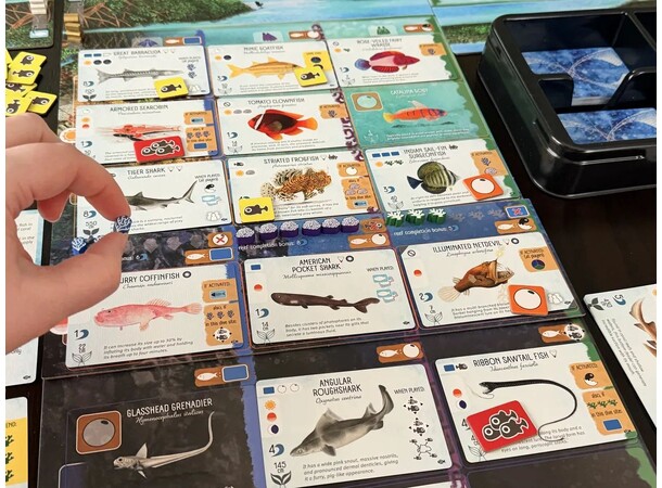 Finspan Sharks & Reefs Expansion Udvidelse til Finspan 