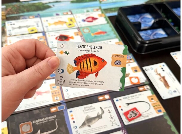 Finspan Sharks & Reefs Expansion Udvidelse til Finspan 
