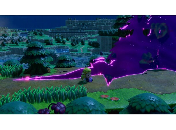 Legend of Zelda: Echoes of Wisdom Switch 