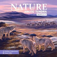 Nature Arctic Tundra Expansion Ekspansion til Nature