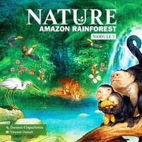 Nature Amazon Rainforest Expansion Ekspansion til Nature