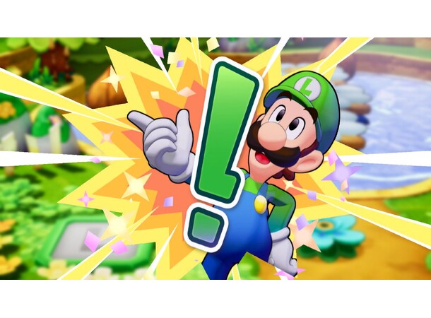 Mario & Luigi Brotherhood Switch 