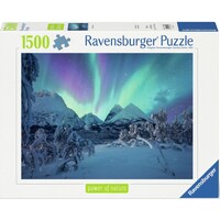 The Arctic Show 1500 brikker Puslespil Ravensburger puslespil