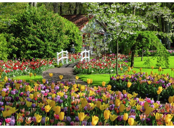 Keukenhof-haverne 1000 brikker Puslespil Ravensburger puslespil 