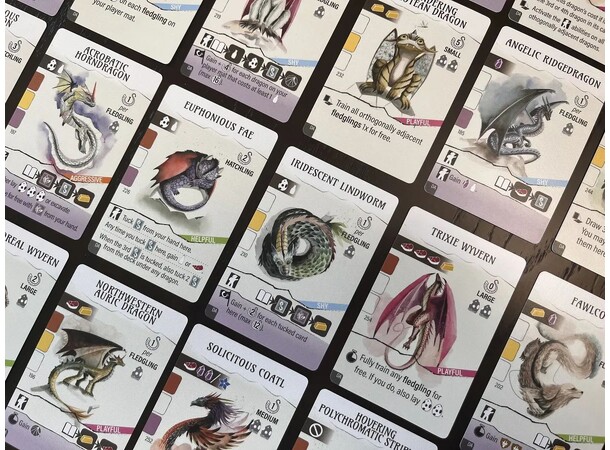 Wyrmspan Dragon Academy Expansion Ekspansion til Wyrmspan 
